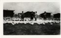 Photo of women wrangling chickens at Dwight