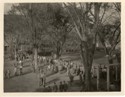 Baseball game in the yard in Pontiac